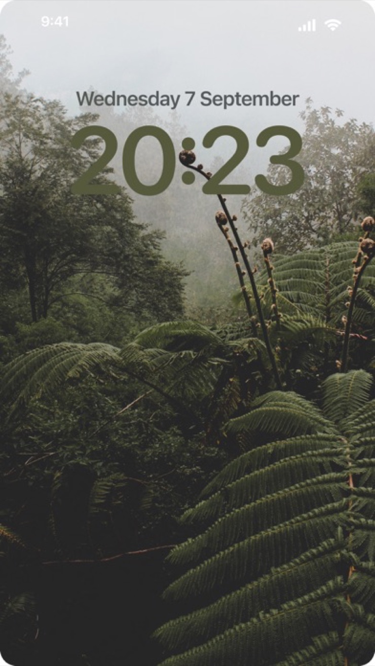 Full-screen 4K wallpaper preview on iPhone